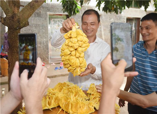 致富经90后小伙养猪_小伙回乡养殖致富_致富经小伙养牛奇招