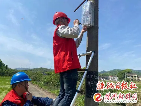 种植莲子的效益怎么样_致富莲子种植方法_种植莲子致富