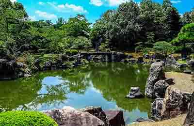 池塘淡水南美白对虾成虾饲养技术