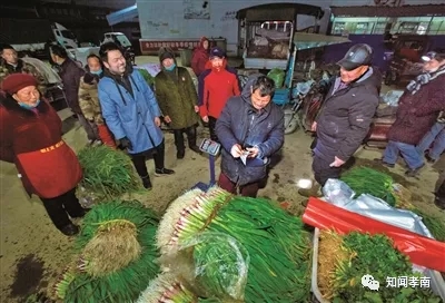 致富种植小葱报道视频_致富种植小葱报道怎么写_种植小葱致富报道