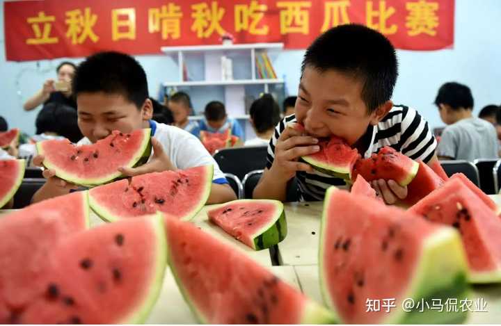 东瓜高产栽培技术_东瓜的种植技术_东瓜栽培技术