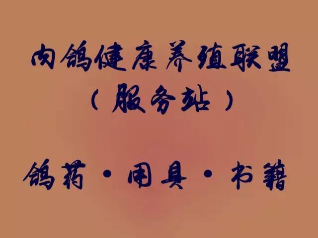 农村致富新项目养殖_农村靠养殖致富_致富养殖业