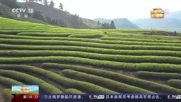 中央电视七台致富经_中央台致富节目_中央致富电视台在线直播