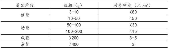 中华鳖养殖技术视频_仿野生中华鳖养殖视频_中华鳖养殖技术规范