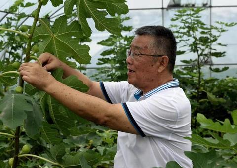 今天，他们的名字最闪亮！江苏37名个人、27个集体获全国表彰