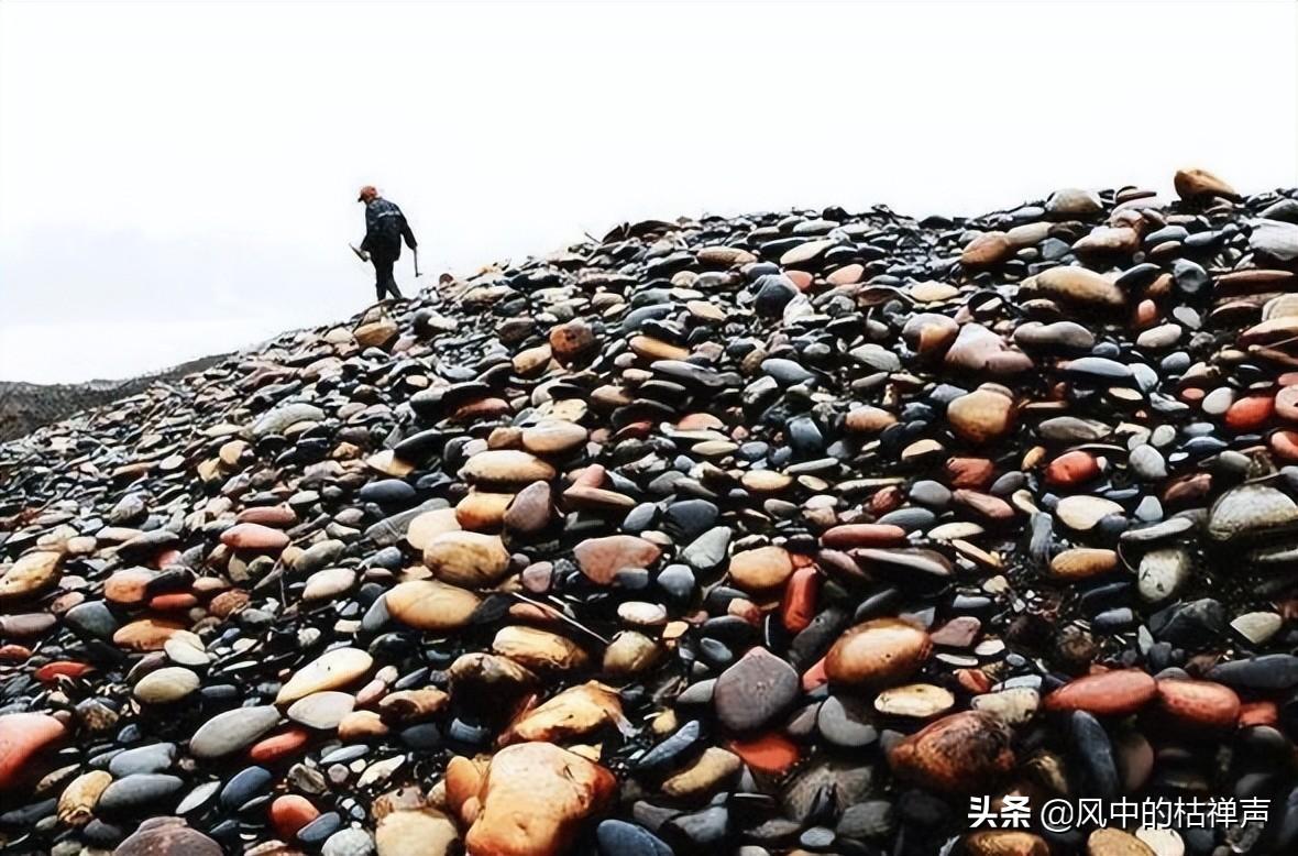 石头种植致富花图片视频_珍珠岩花生芽种植视频_科技苑花生芽种植视频