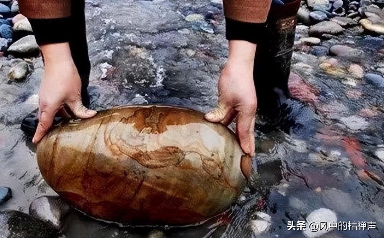 石头种植致富花图片视频_科技苑花生芽种植视频_珍珠岩花生芽种植视频