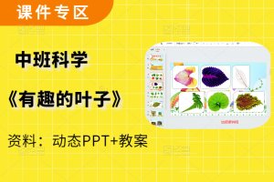 中班科学领域《有趣的叶子》有趣的树叶优秀PPT课件+教案