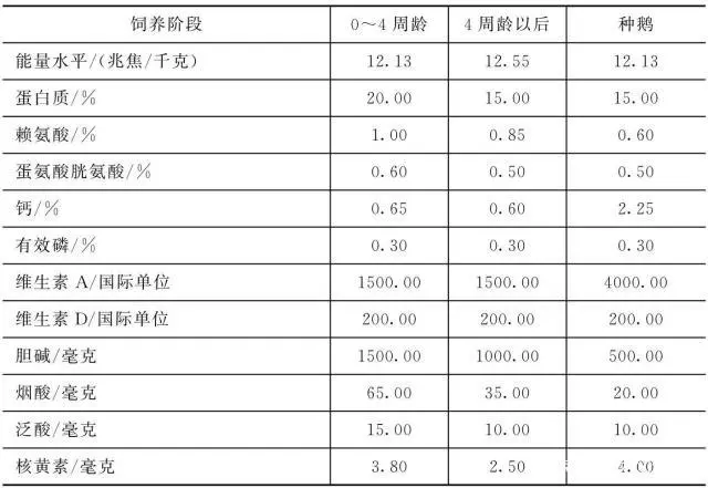 白天鹅 养殖技术_天鹅养殖视频_天鹅养殖技术视频教程