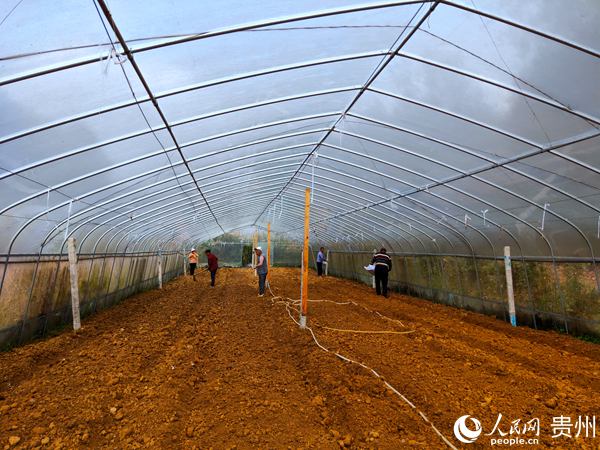 何城义：种植食用菌  敲开致富门