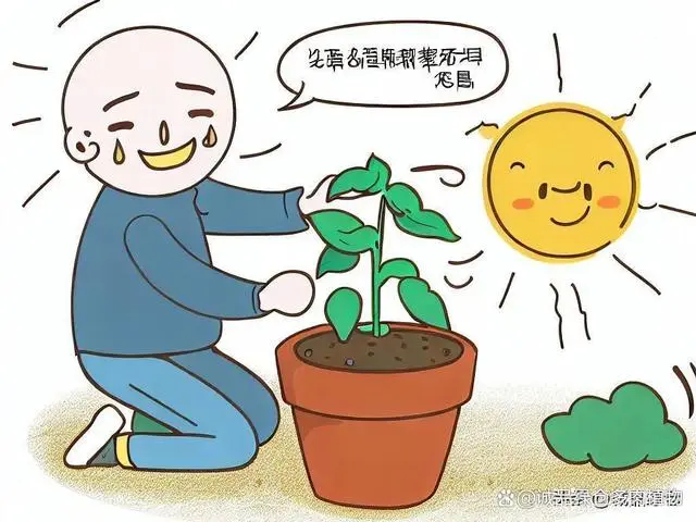 种植塔层技术是什么_九层塔种植技术_种植塔层技术特点