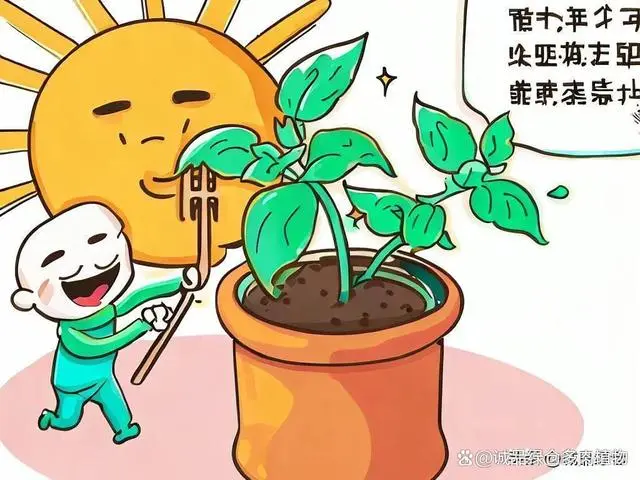 九层塔种植技术_种植塔层技术特点_种植塔层技术是什么