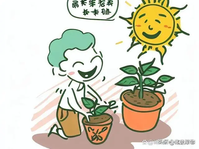 种植塔层技术特点_种植塔层技术是什么_九层塔种植技术