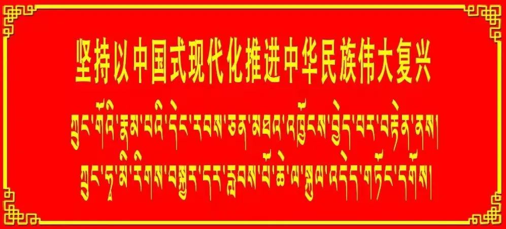 【珠峰新时代文明实践•亚东篇】下司马镇鲑鱼养殖基地喜获丰收