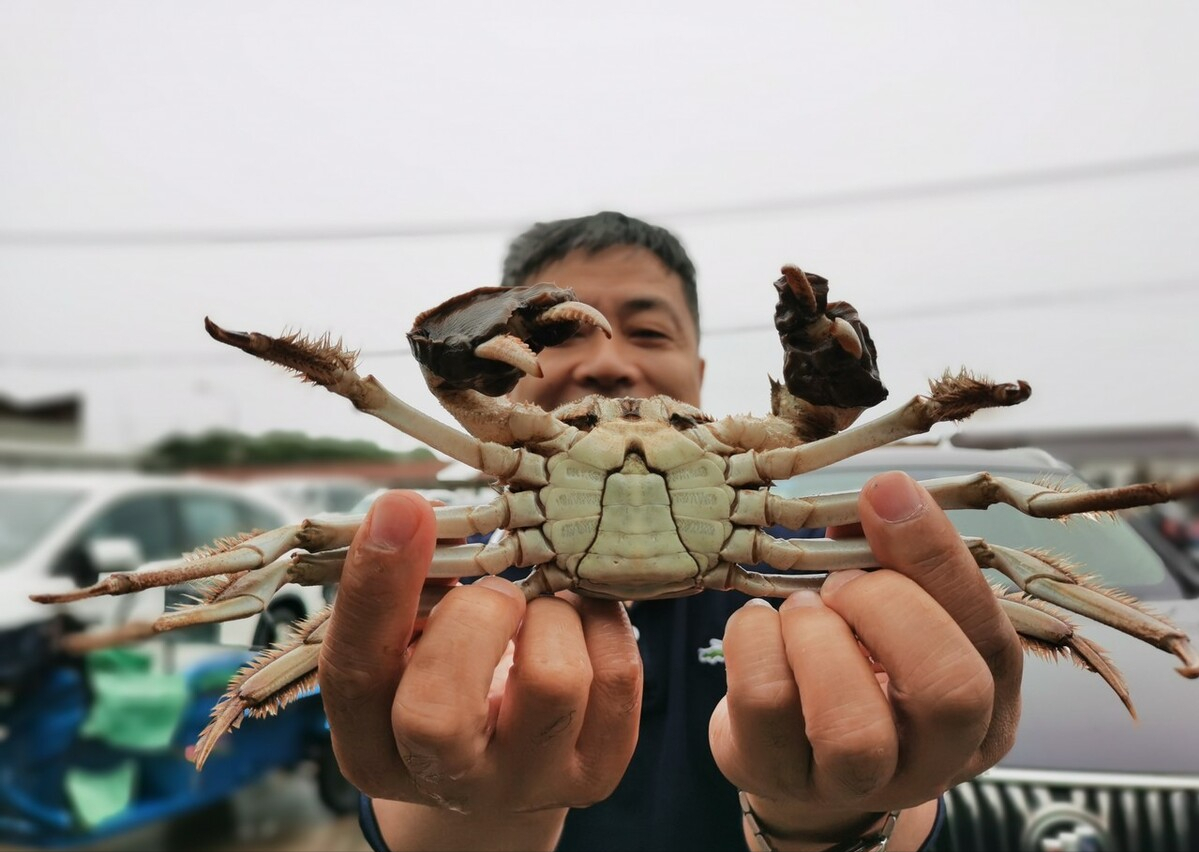 养殖致富能手事迹材料范文_致富养殖能手小说阅读_致富养殖小能手