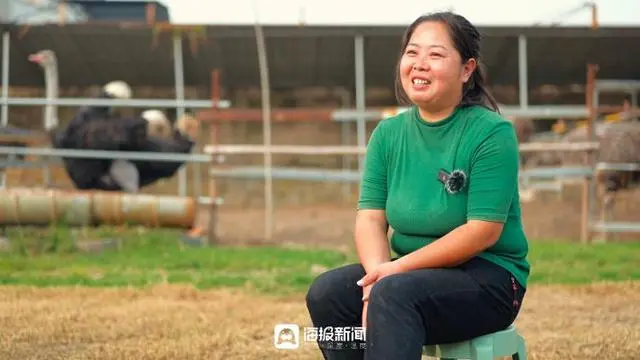 广东鸵鸟养殖加盟_致富经鸵鸟养殖广东刘学强_广东鸵鸟养殖场