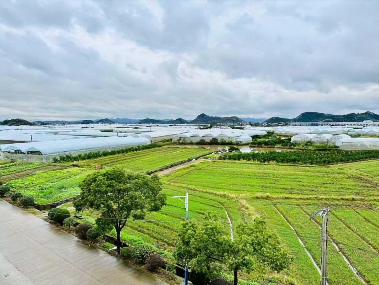 农业温室种植致富项目汇报_温室种植简报_温室种植优势