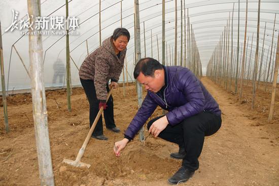 农业温室工程_农业温室种植致富项目汇报_温室种植简报