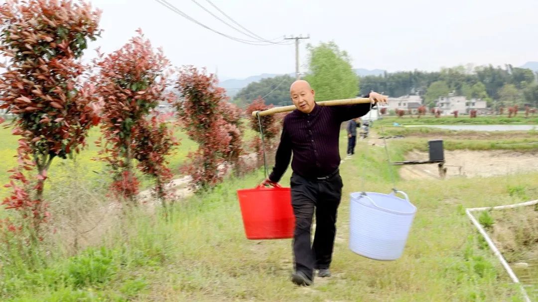 种养殖致富 教案_养殖致富之路_致富经养殖业