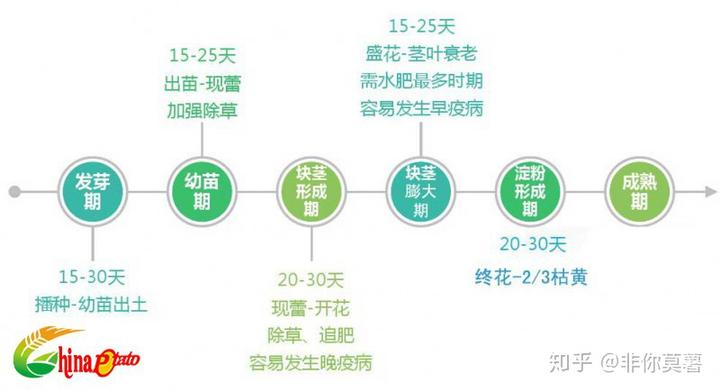 土豆种植季节_土豆几月份种怎么种_土豆几月份种植技术