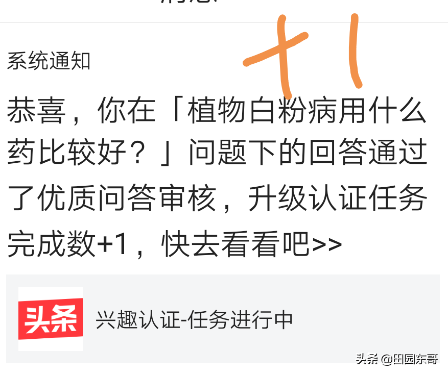 东哥分享给大家，怎么如何快速通过四个优质问答