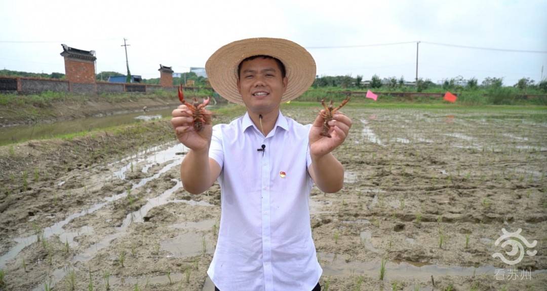 致富经室内养虾视频_致富经养殖虾_养殖致富虾