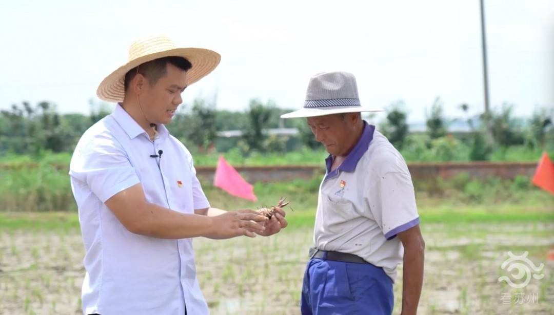 致富经养殖虾_养殖致富虾_致富经室内养虾视频