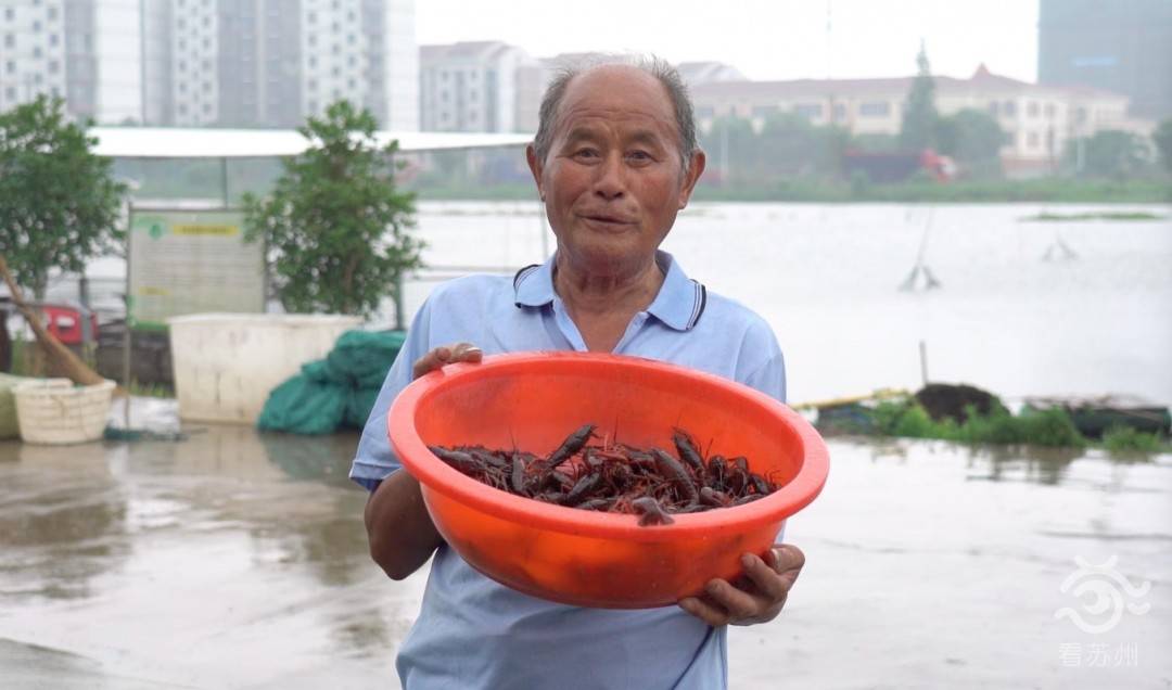 养殖致富虾_致富经室内养虾视频_致富经养殖虾