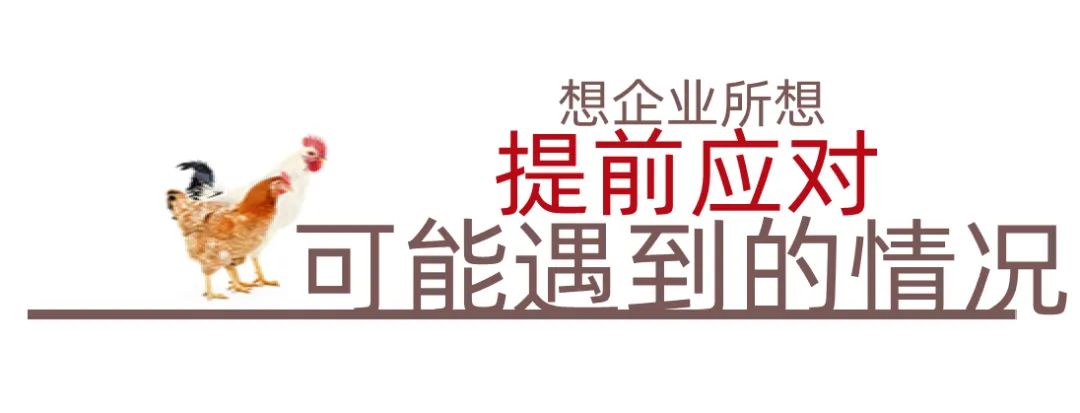 致富项目养鸡_农村致富网养殖业养鸡_致富养殖项目