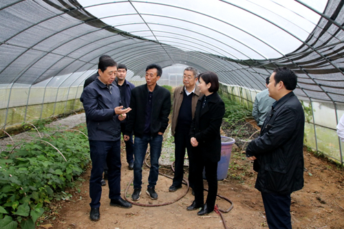 中科院副秘书长何岩调研广元市利州区杂交构树基地