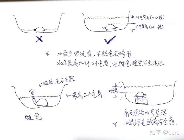 蟑螂养殖解决技术方法_如何解决蟑螂养殖技术_蟑螂养殖解决技术问题