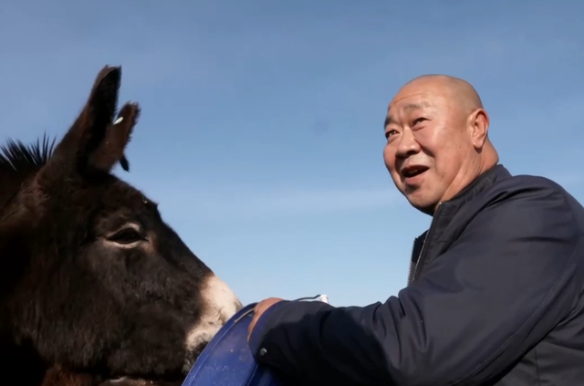 为什么从事养殖业致富行业_致富养殖项目_致富养殖业从事行业有哪些