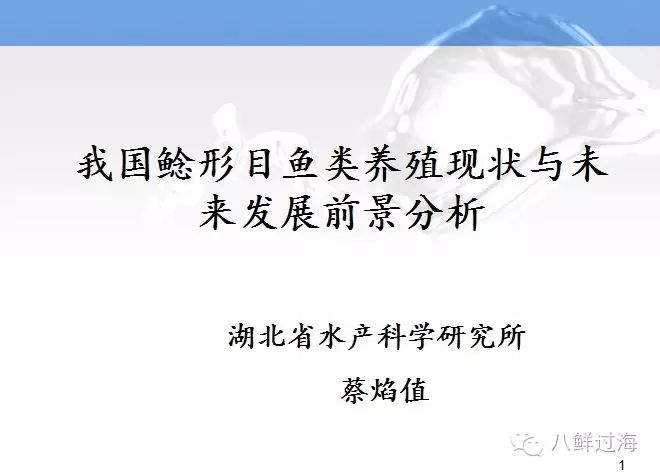 “鲶鱼效应”真的应验：各种鲶鱼抢占中国市场，200万吨指日可待！