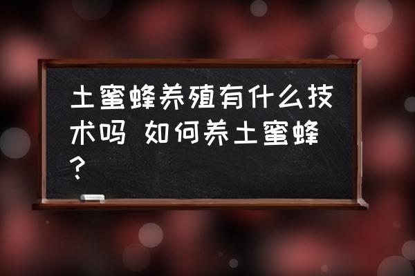 土蜜蜂养殖有什么技术吗 如何养土蜜蜂？