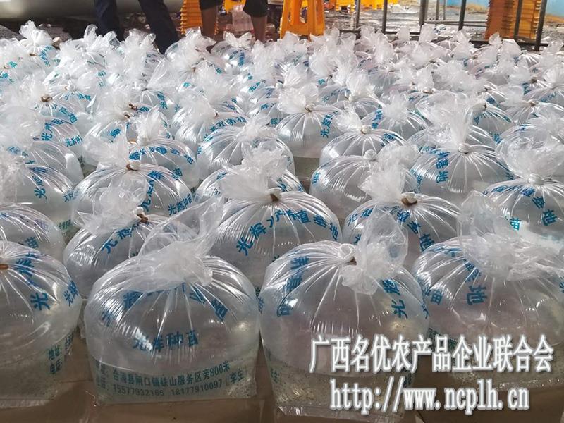 致富经养虾_虾养殖致富_致富经室内养虾视频