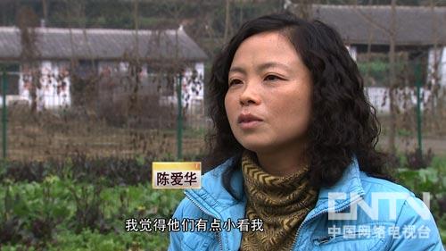 养殖绿壳蛋鸡前景如何_2020年绿壳蛋鸡养殖前景_绿壳蛋鸡养殖 致富经