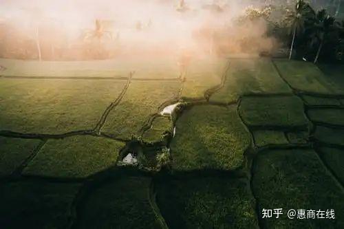 湖南农村致富项目_湖南农村种植致富_湖南农村种植什么最赚钱