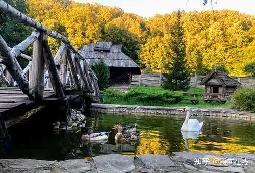 湖南农村种植致富_湖南农村种植什么最赚钱_湖南农村致富项目