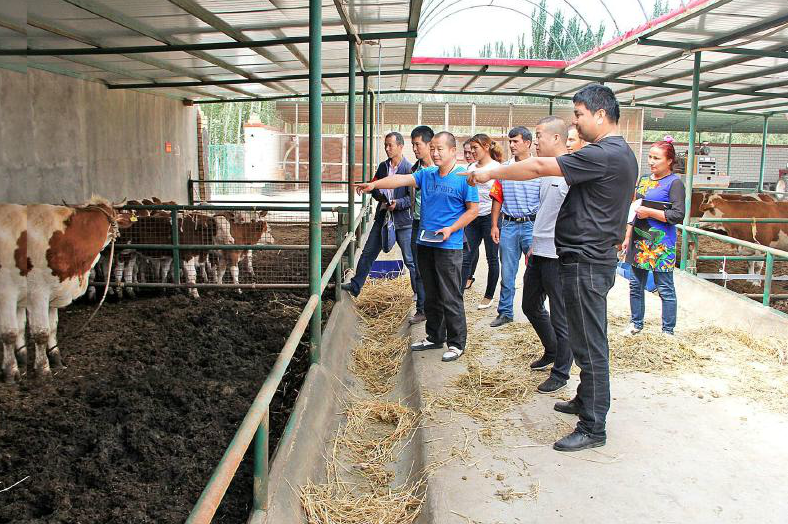 【访民情 惠民生 聚民心】库车地宝养殖专业合作社：吸引村民抱团增收致富