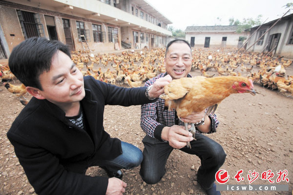 宁乡农民杨四强致富不忘乡邻 成残疾人贴心人