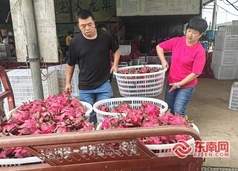 馒头种植致富项目_致富馒头种植项目介绍_致富经馒头