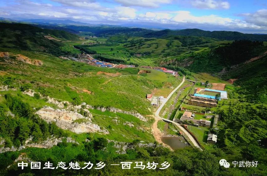 馒头种植致富项目_致富经馒头_致富馒头种植项目有哪些