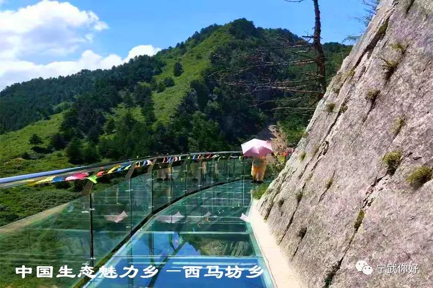 馒头种植致富项目_致富经馒头_致富馒头种植项目有哪些