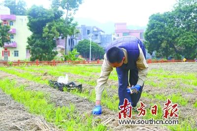 致富年华_致富年代文_2021年致富经