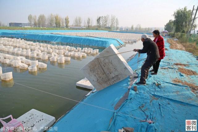 水蛭养殖 致富经_致富养殖水蛭怎么样_致富养殖水蛭视频