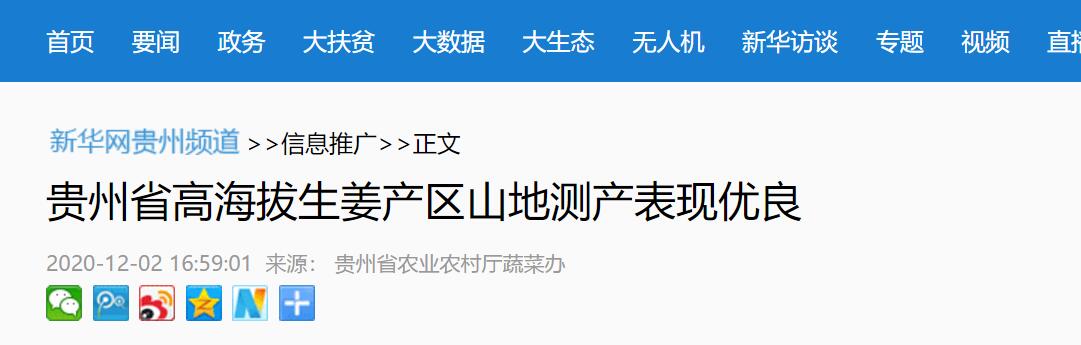 新华网（贵州频道）：贵州省高海拔生姜产区山地测产表现优良