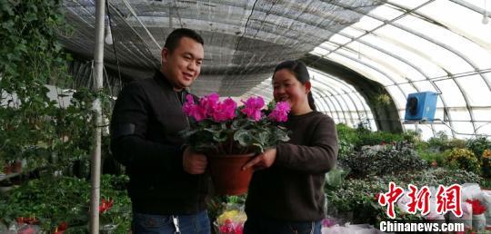 花卉致富养殖大棚视频_花卉大棚养殖致富_花卉种植大棚养花基地视频