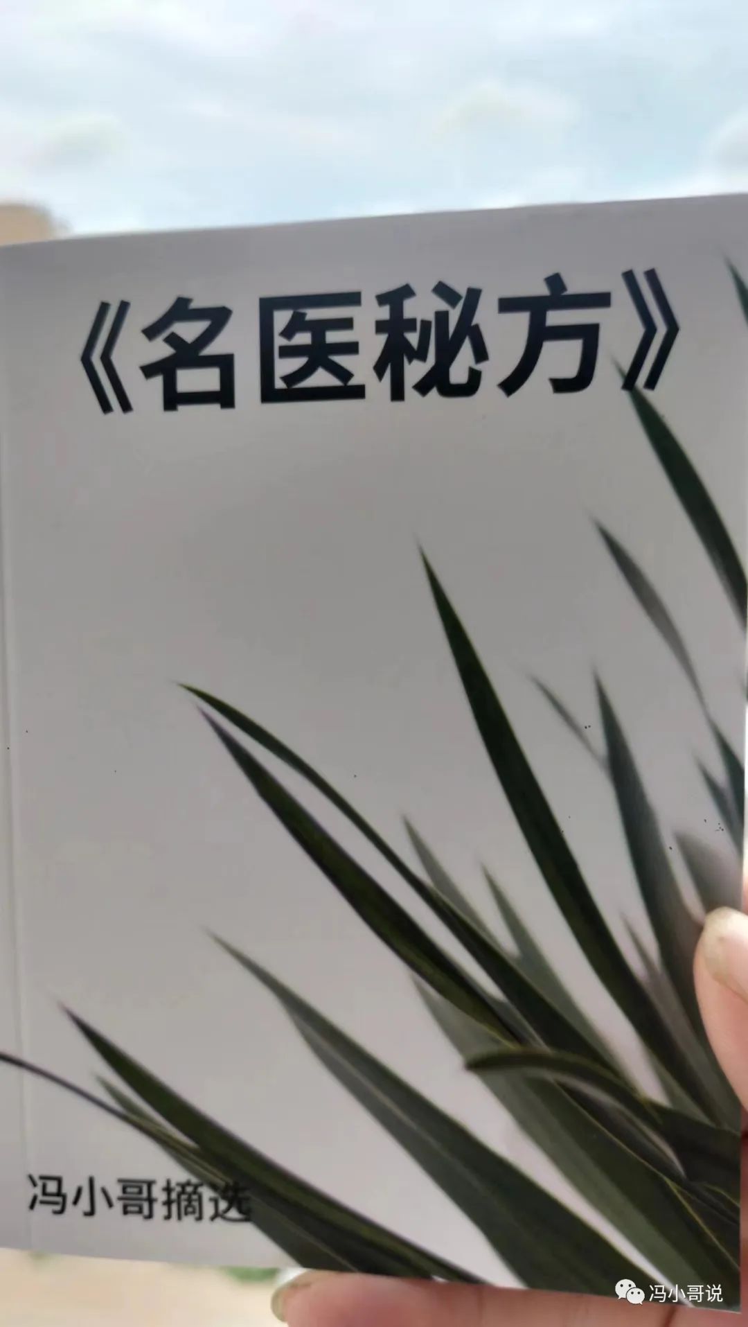 致富经茶籽树_致富经茶籽油_种植茶籽树挣钱吗