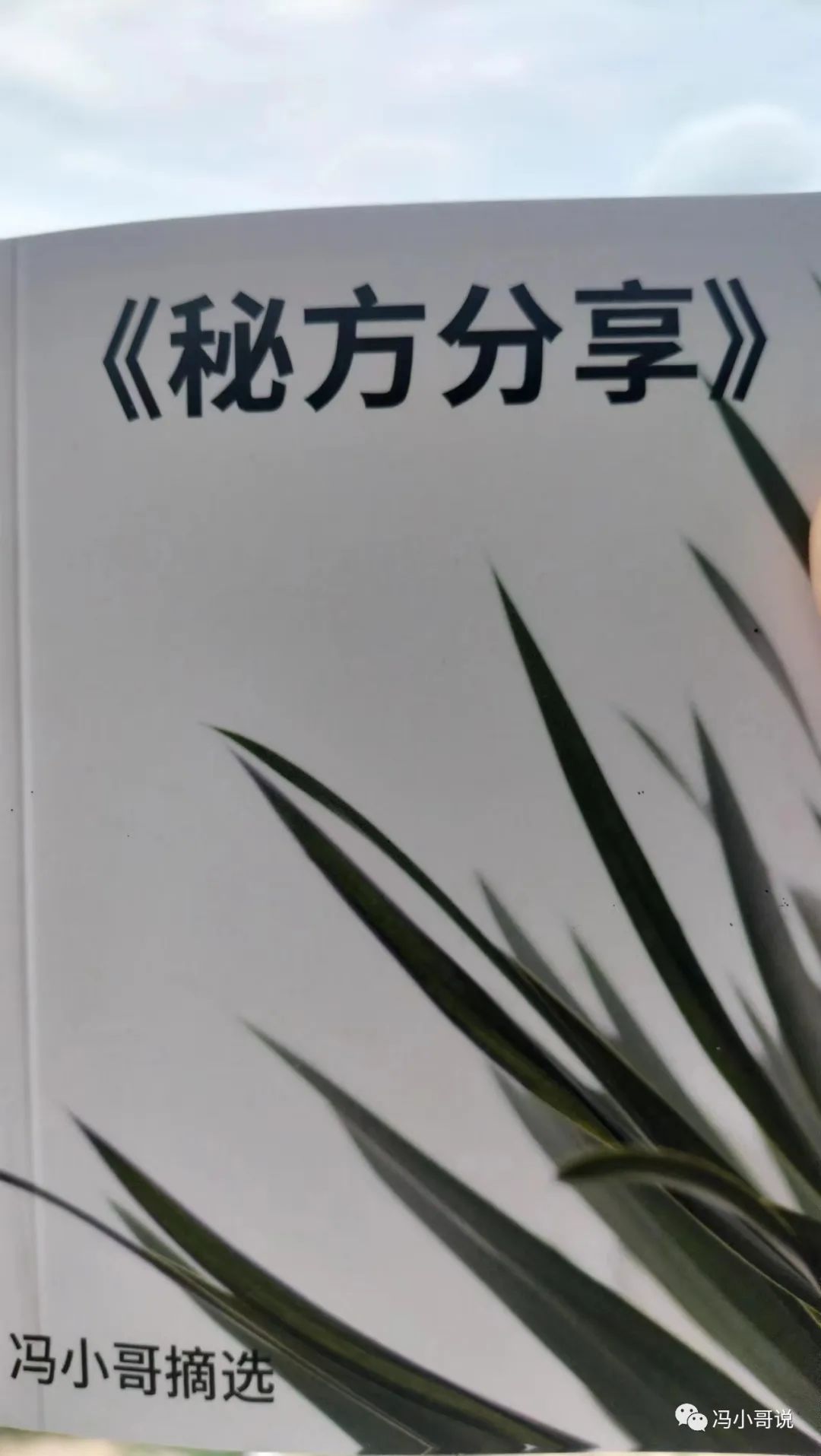 致富经茶籽油_种植茶籽树挣钱吗_致富经茶籽树