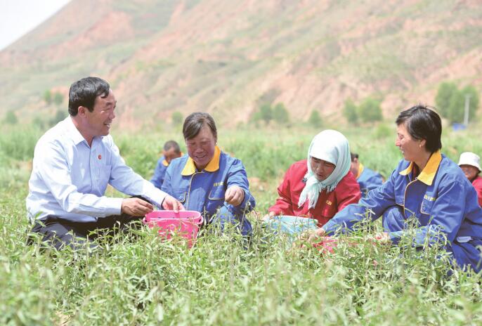 蔡有鹏：让每个村民都能富起来